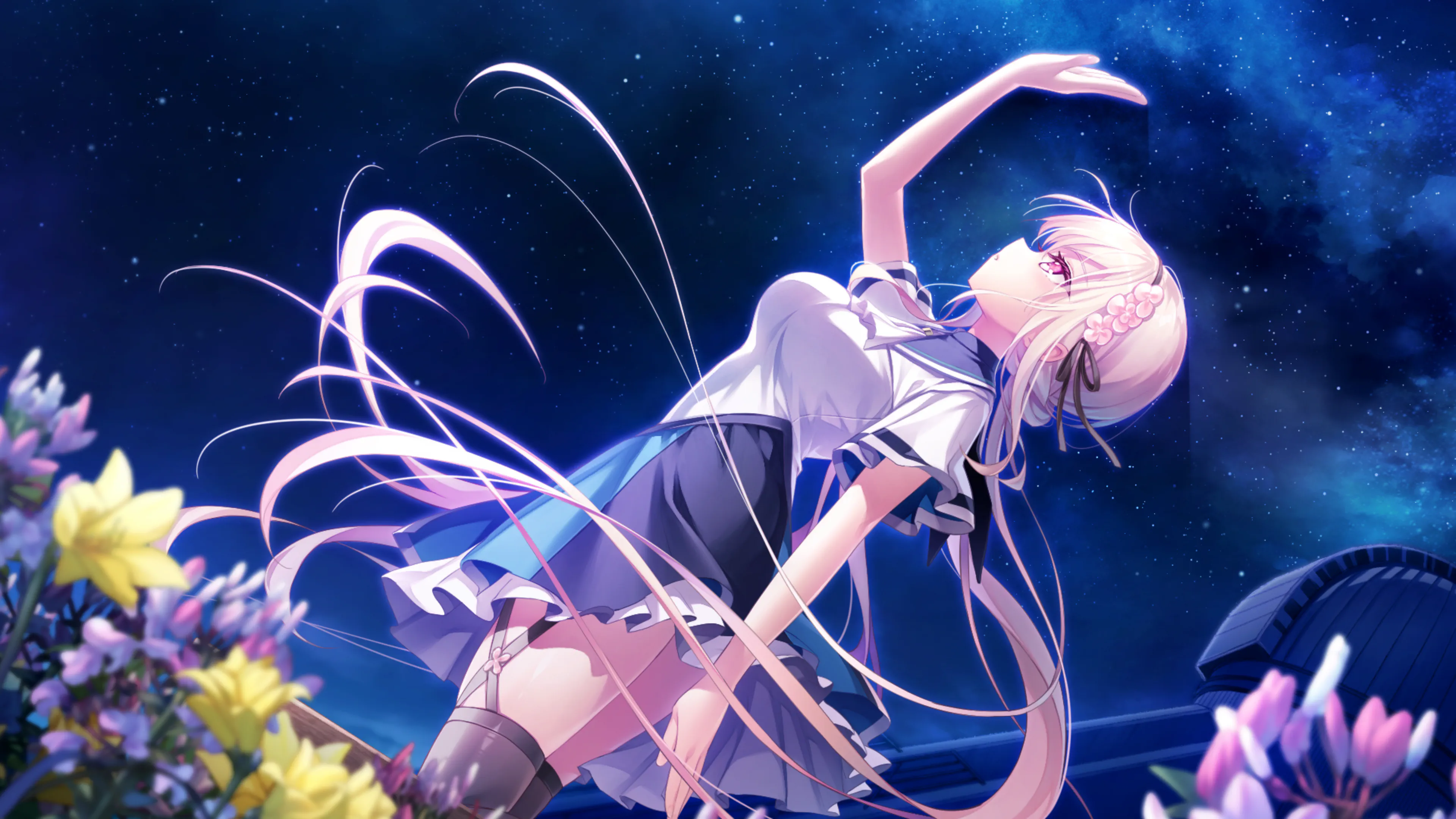 夜の花畑で、淡雪が星をみているかのように写っているCG